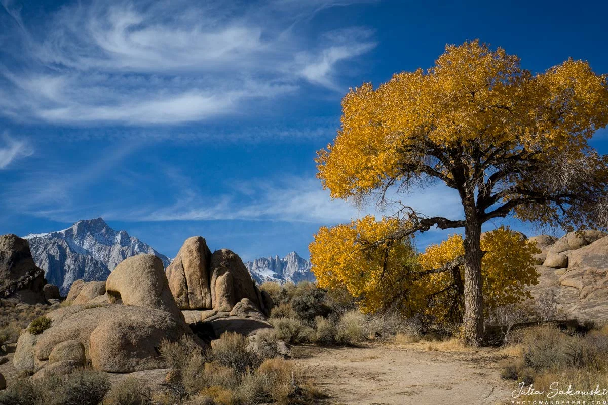 Autumn gold, Alabama Hills