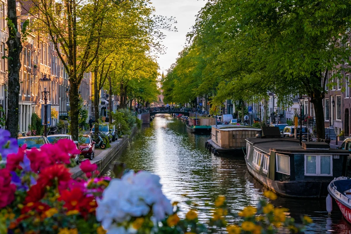 Amsterdam at golden hour