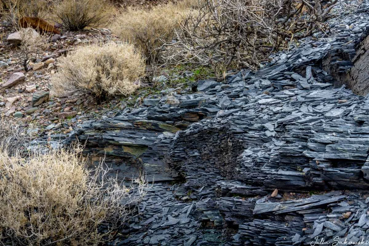 Black “dragon scales.” The layers are incredibly thin, yet surprisingly strong.