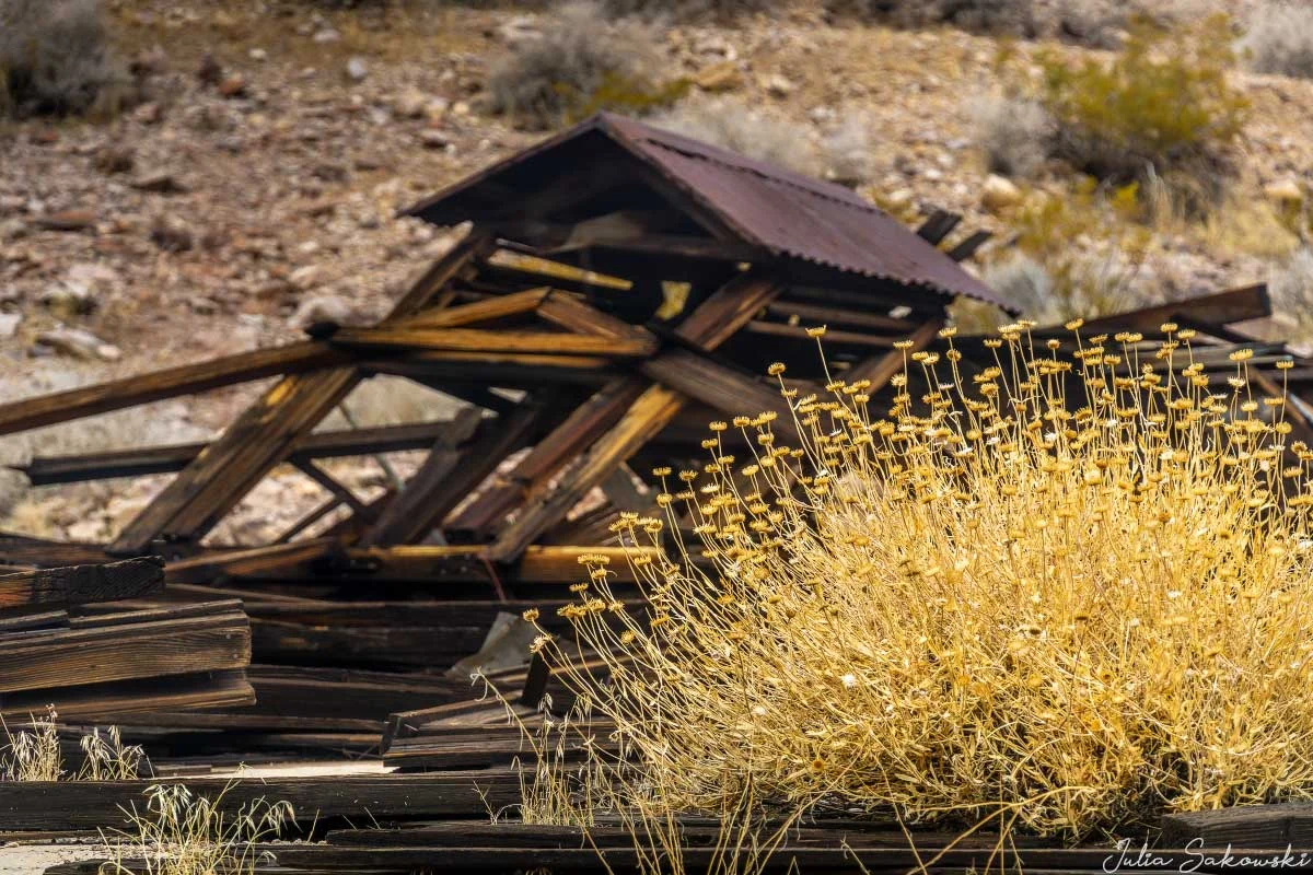 Nature is slowly reclaiming what people once built here.