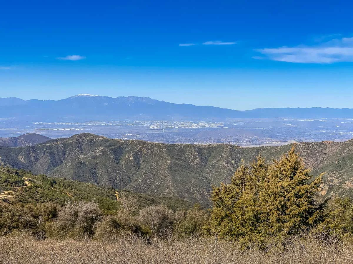 View on Maple Springs Road